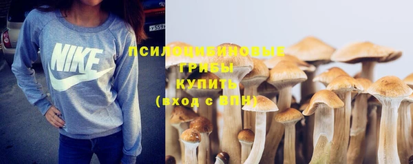 трава Абдулино
