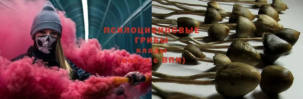 бутират Алзамай